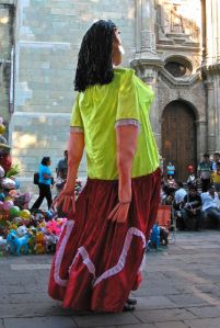 Marmota leading the way