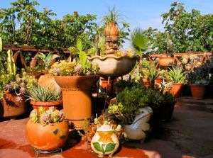 Garden God presiding