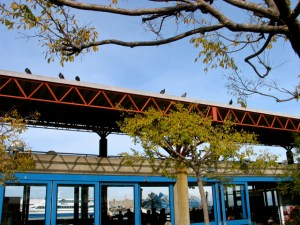 IMG_0005_2copy San Francisco Ferry Building