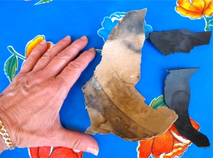 Debris from castillo