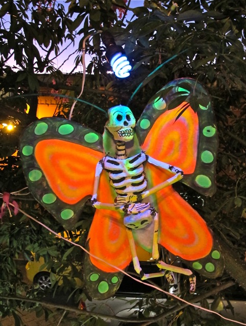 Day-glo orange butterfly skeleton hanging in a tree.