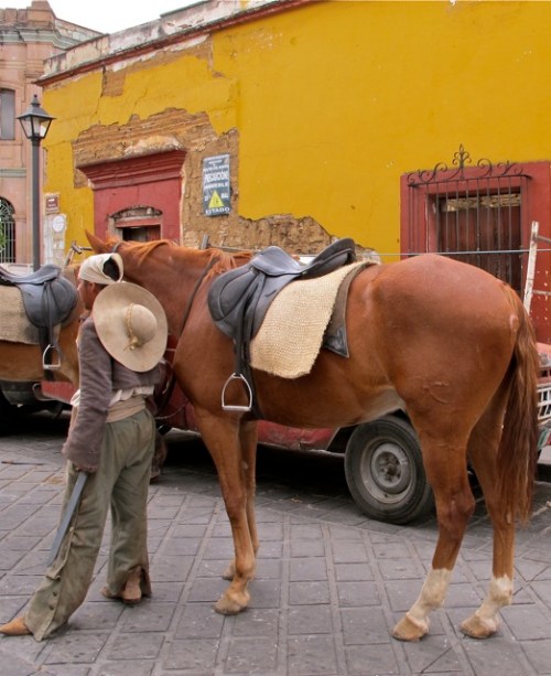 Independence fighter standing next to horse.