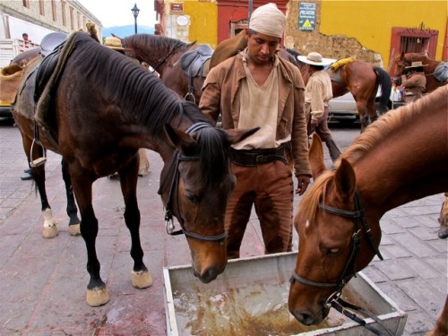 Independence fighter in between two horses drinking water from a trough