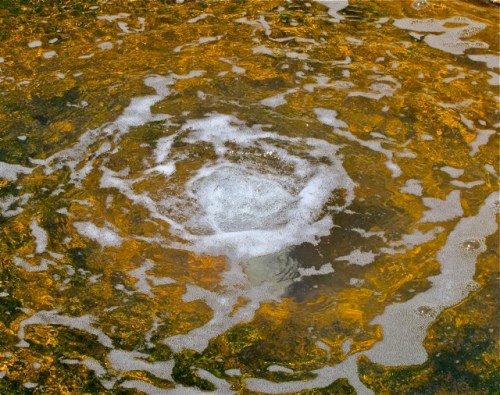 Water burbling up into a small pool