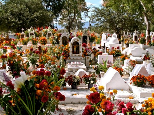 Profusion of flowers against whitewashed graves