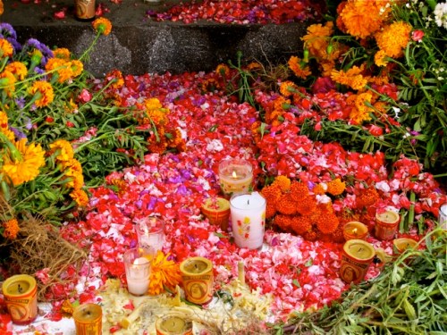 Pink and red rose petals covering a grave