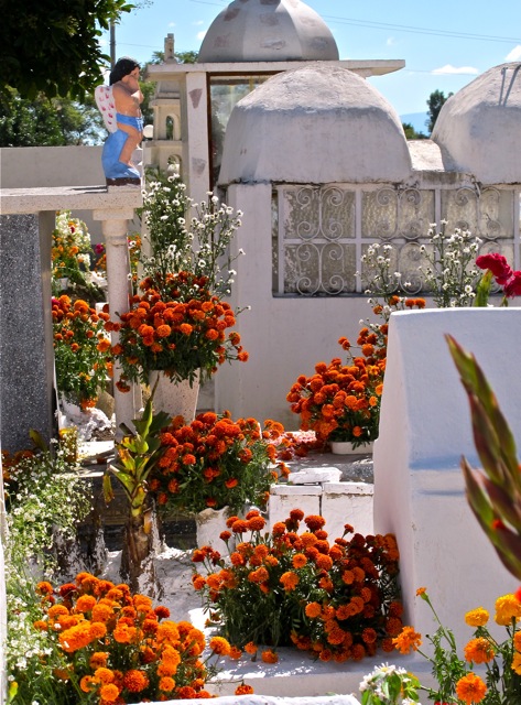 Multicolored flowers surrounding whitewashed tomb