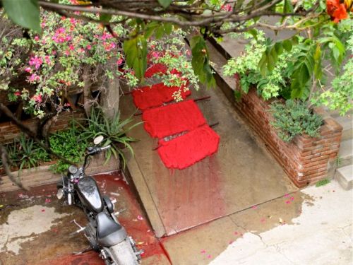 Red newly dyed yarn laid out on cement sloped slab; tree leaves in foreground