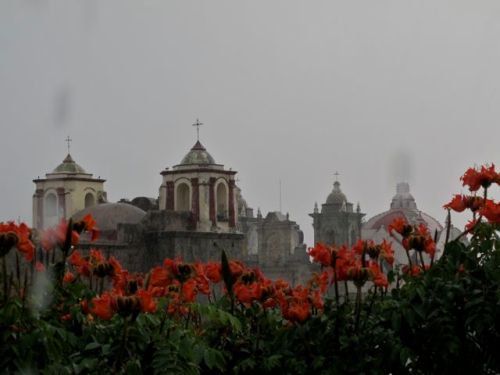Red/orange African tulip tree blossoms in foreground, church domes and bell towers in background against gray sky