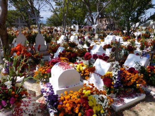 Whitewashed graves covered with multicolored fresh flowers