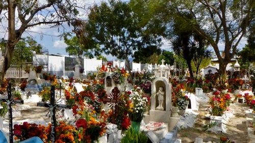 Whitewashed graves covered with multicolored fresh flowers