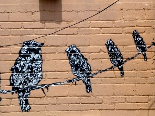 Wall with painting of birds sitting on a wire
