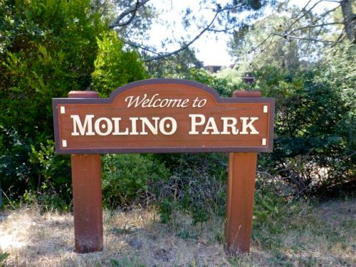 Wooden sign: "Welcome to Molino Park"