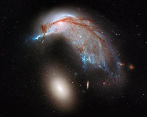 Hubble image looks like the profile of a hummingbird