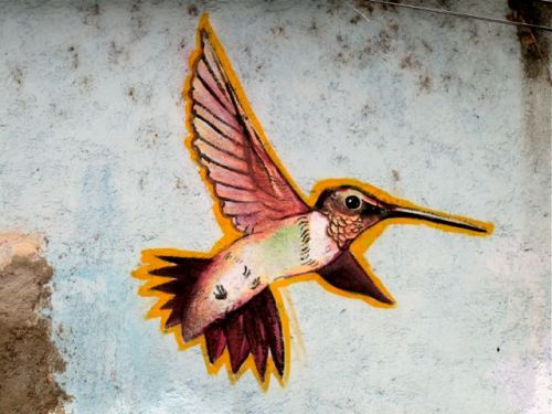 Hummingbird painted on wall