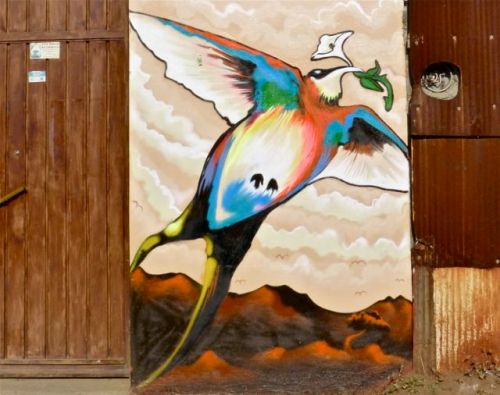 bird painted on wall of building