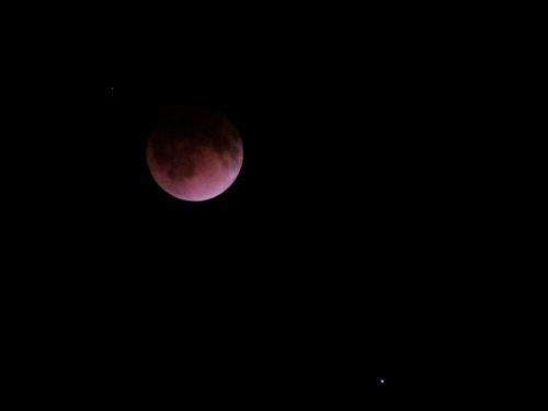 Red colored eclipsed moon