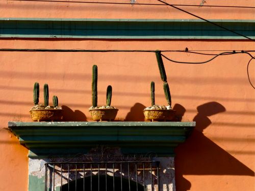 shadows from cactus & portico on orange wall