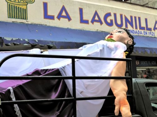Female mono laying in back of pickup gtruck