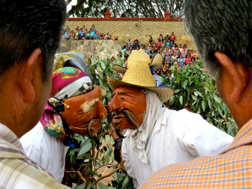 2 viejitos, nose to nose