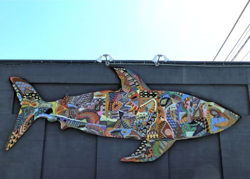 Multicolored fish painting