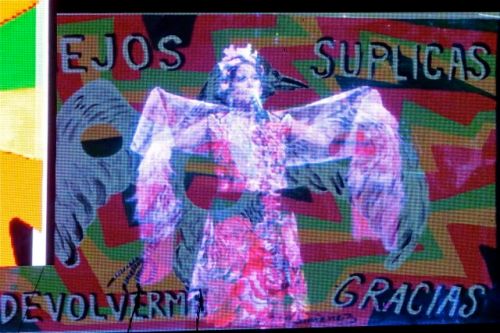 Projected image of Lila Downs