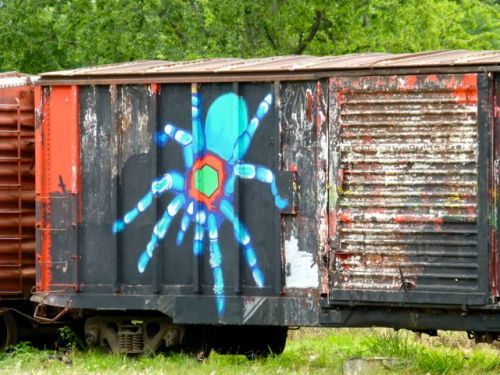 Spider painted on railroad car