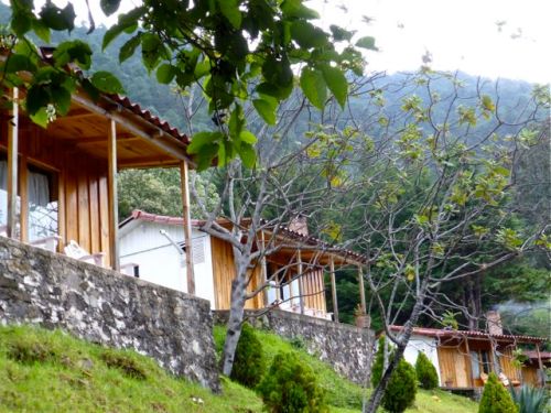 3 cabañas and trees