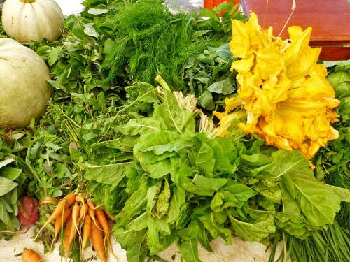 Carrots, lettuce, squash blossoms, fennel, and more.
