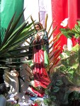 IMG_0371