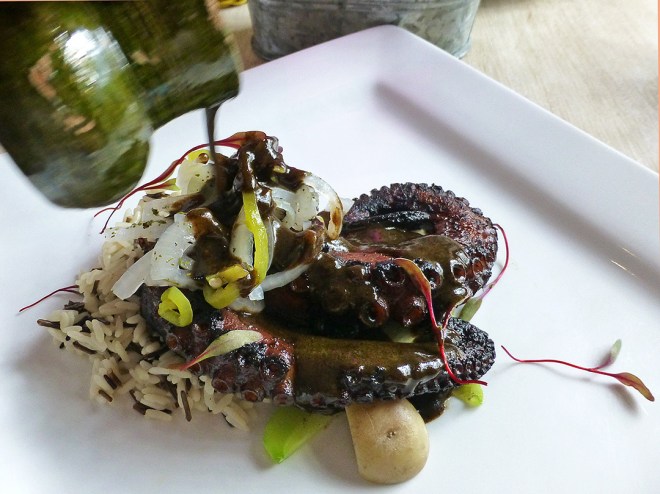 Chichilo servido con pulpo y arroz (Chichilo mole served with octopus and rice)