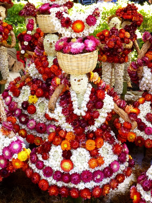 Chinas Oaxaqueñas in Flor Inmortal category 2012