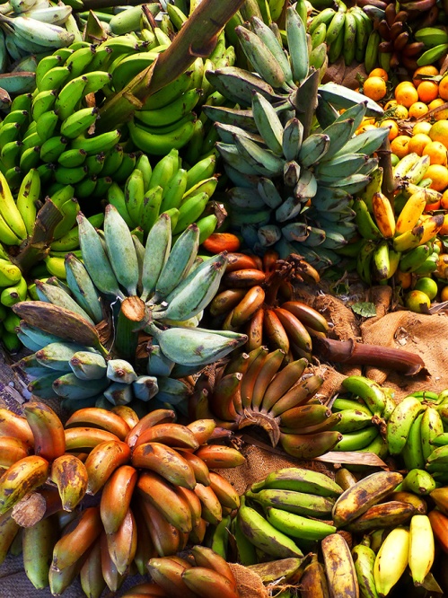 A variety of bananas at a market