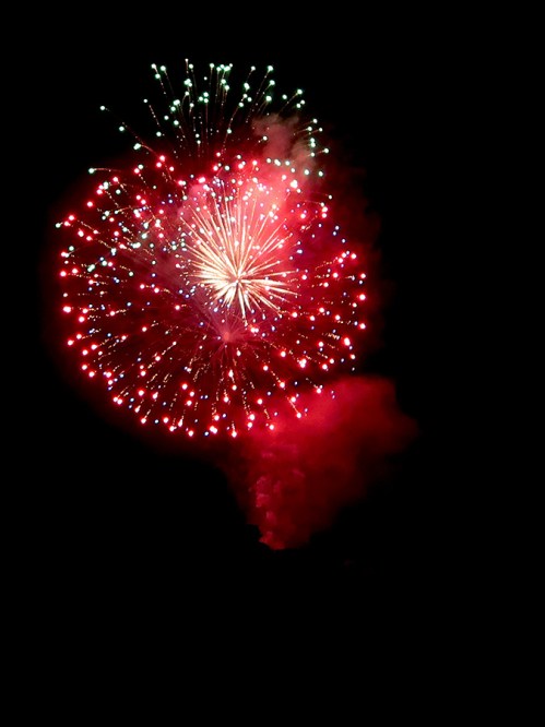 Fireworks exploding in night sky