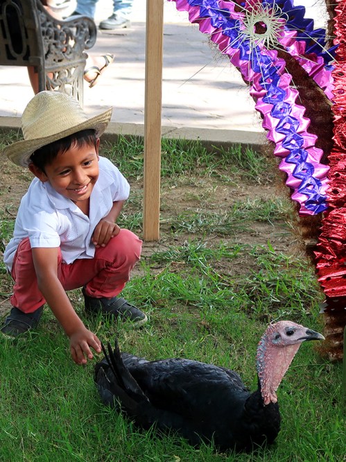 boy and turkey