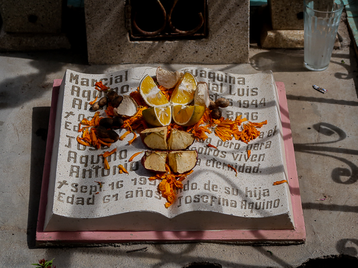 marigolds | View From Casita Colibrí